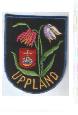 Uppland.jpg